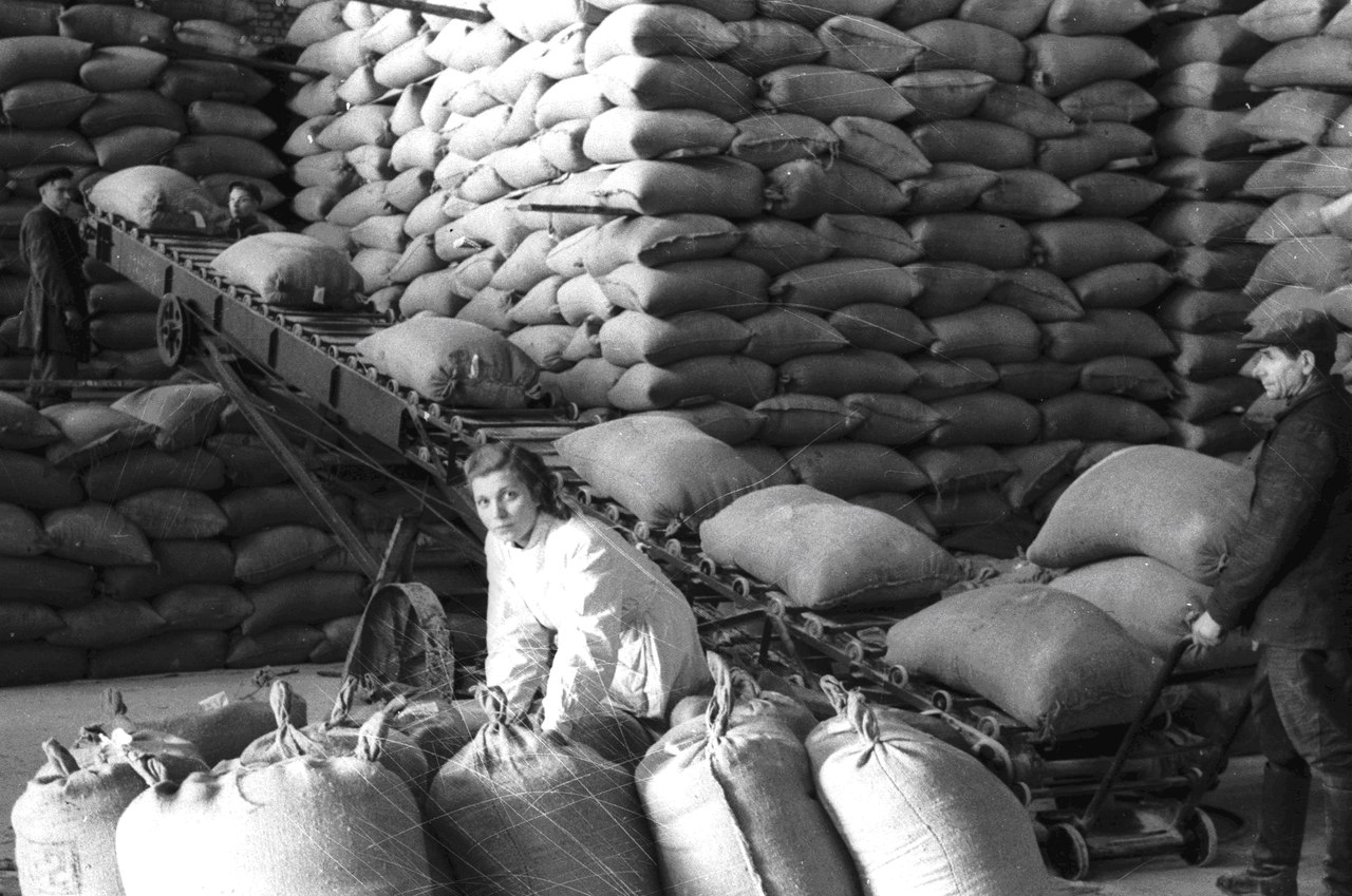 Подготовка продукции Скидельского сахарного завода к отправке в торговую сеть (1953 г.)
